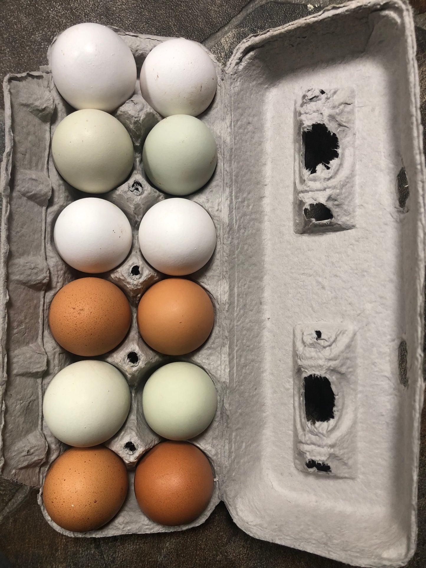 Farm Fresh Eggs