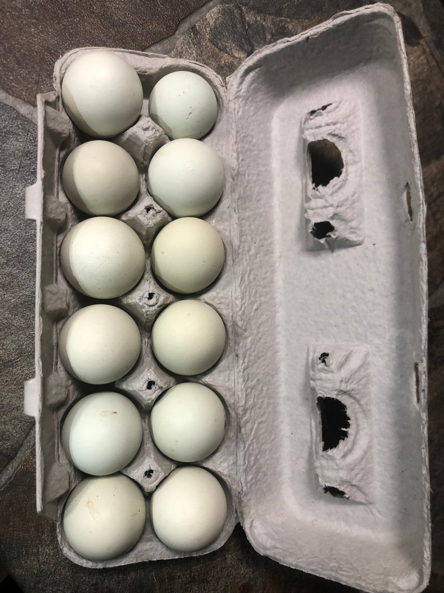 Farm Fresh Eggs