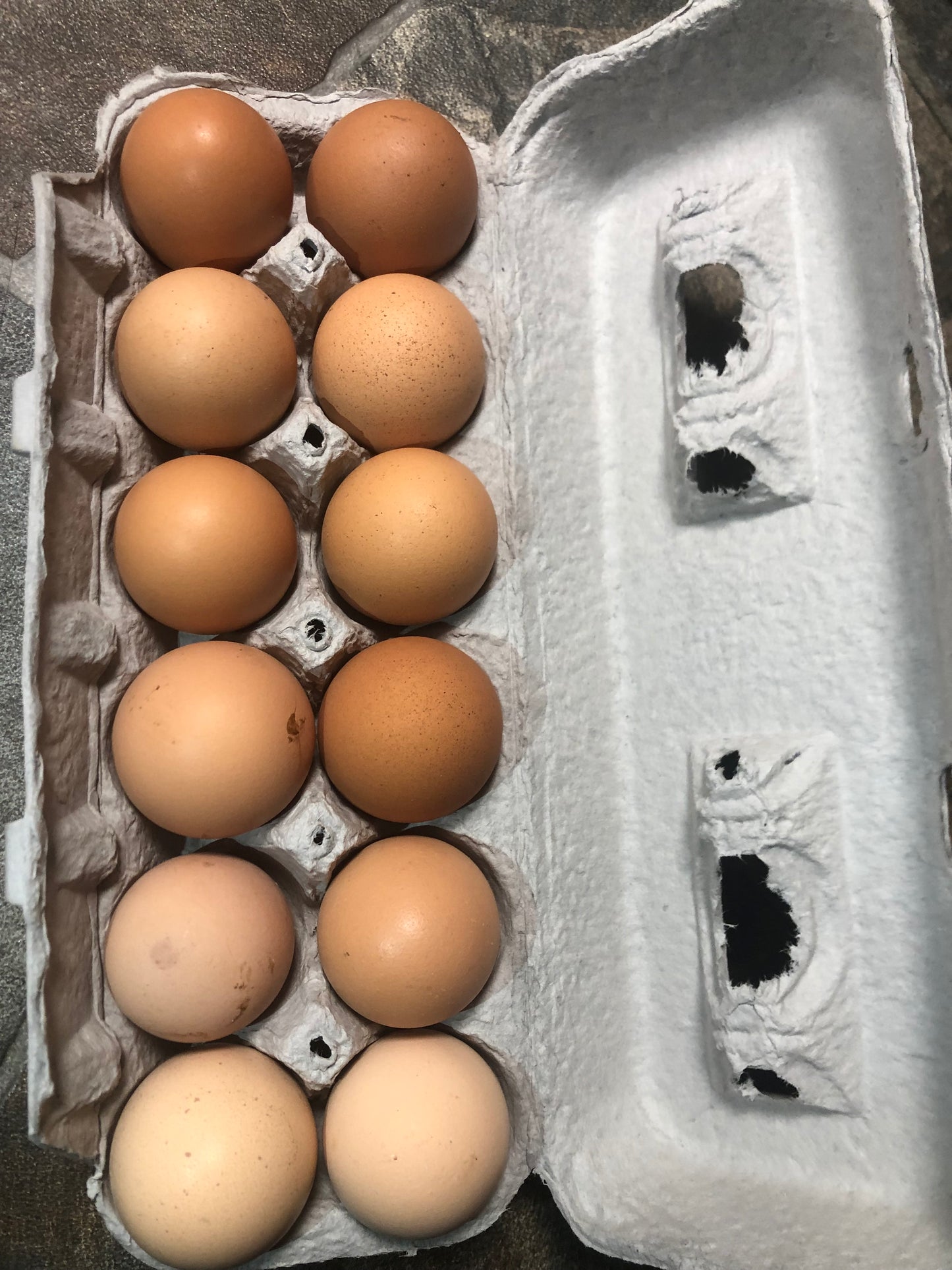 Farm Fresh Eggs